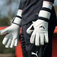 VISION WHITE HYBRID